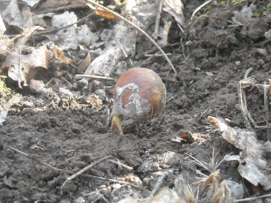 DSCN2133.JPG