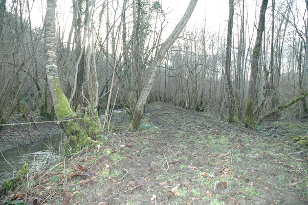 tof mifaget 139 (Copier).jpg