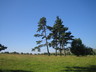 2009 juil. 16 003-redimensionné.jpg