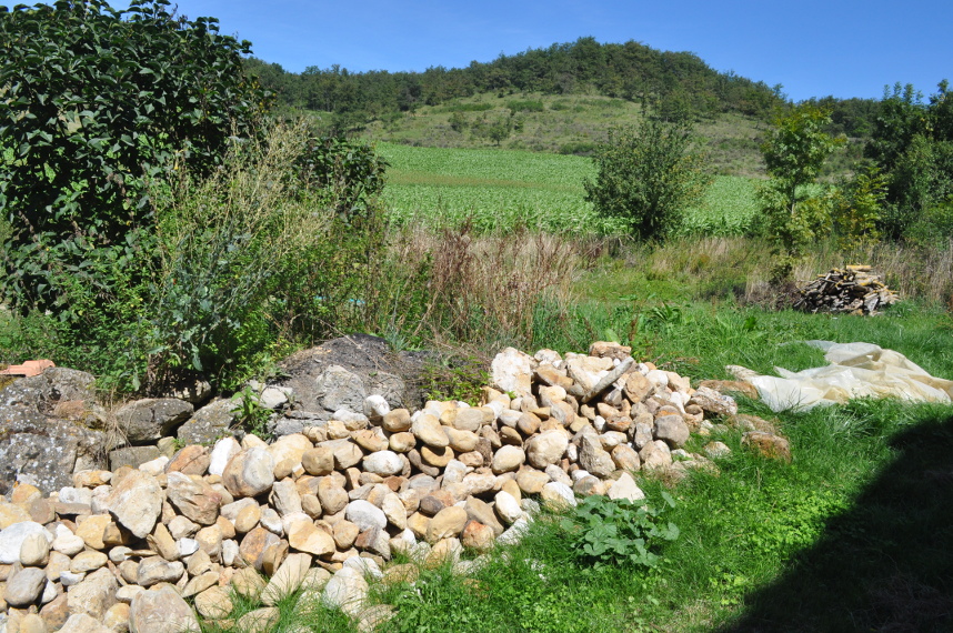 jardin 3.JPG