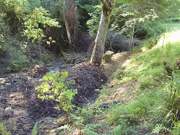 butte chatîgner.jpg