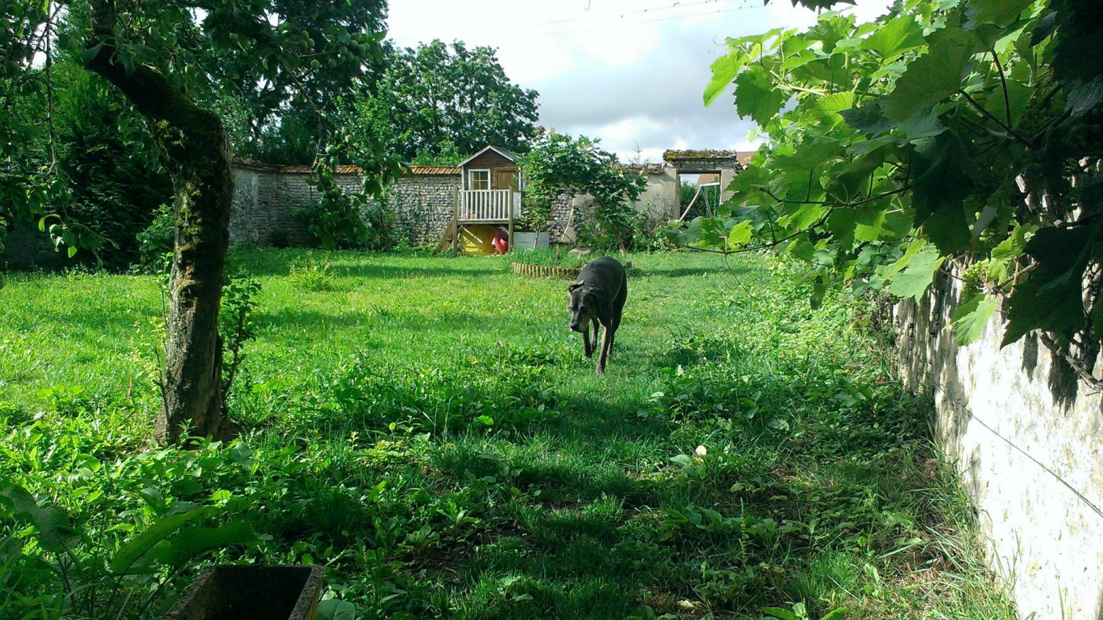 IMAG1189a.jpg