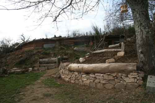 IMG_0518-web.jpg