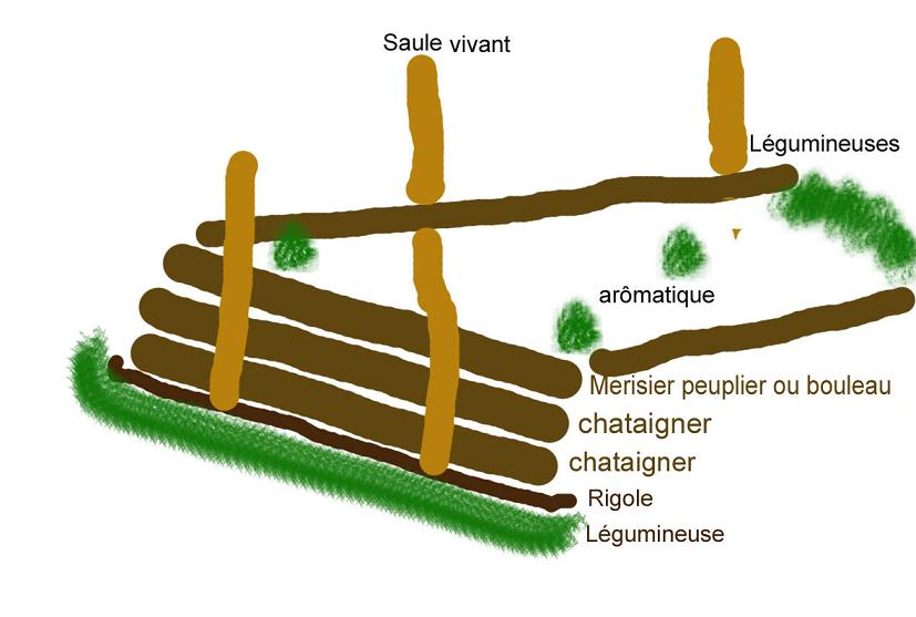 plan butte smaller.jpg