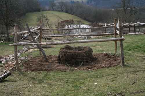 IMG_0579-web.jpg