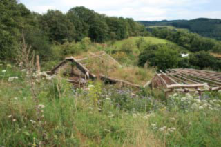 paysage en été-web.jpg