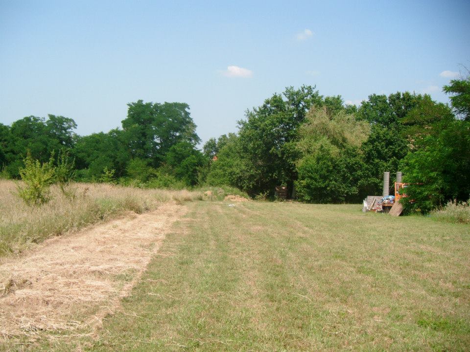 483904_10200304745403410_1979974571_n.jpg