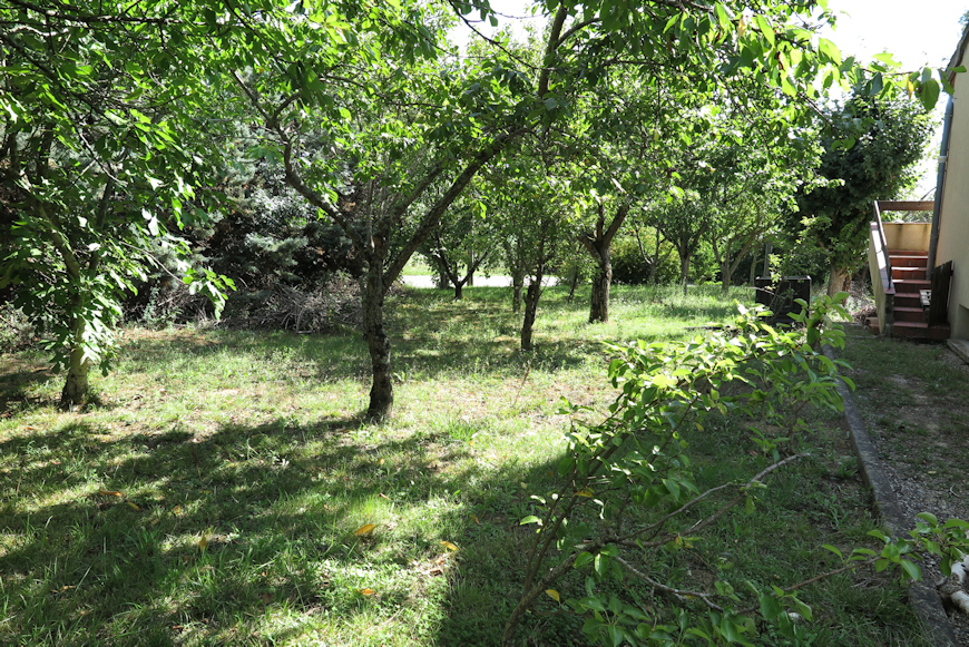 permaculture007.jpg