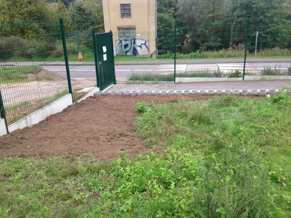 potager.jpg