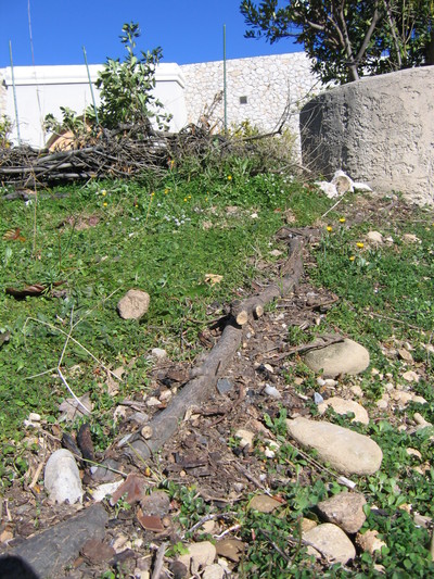 IMG_3540.JPG