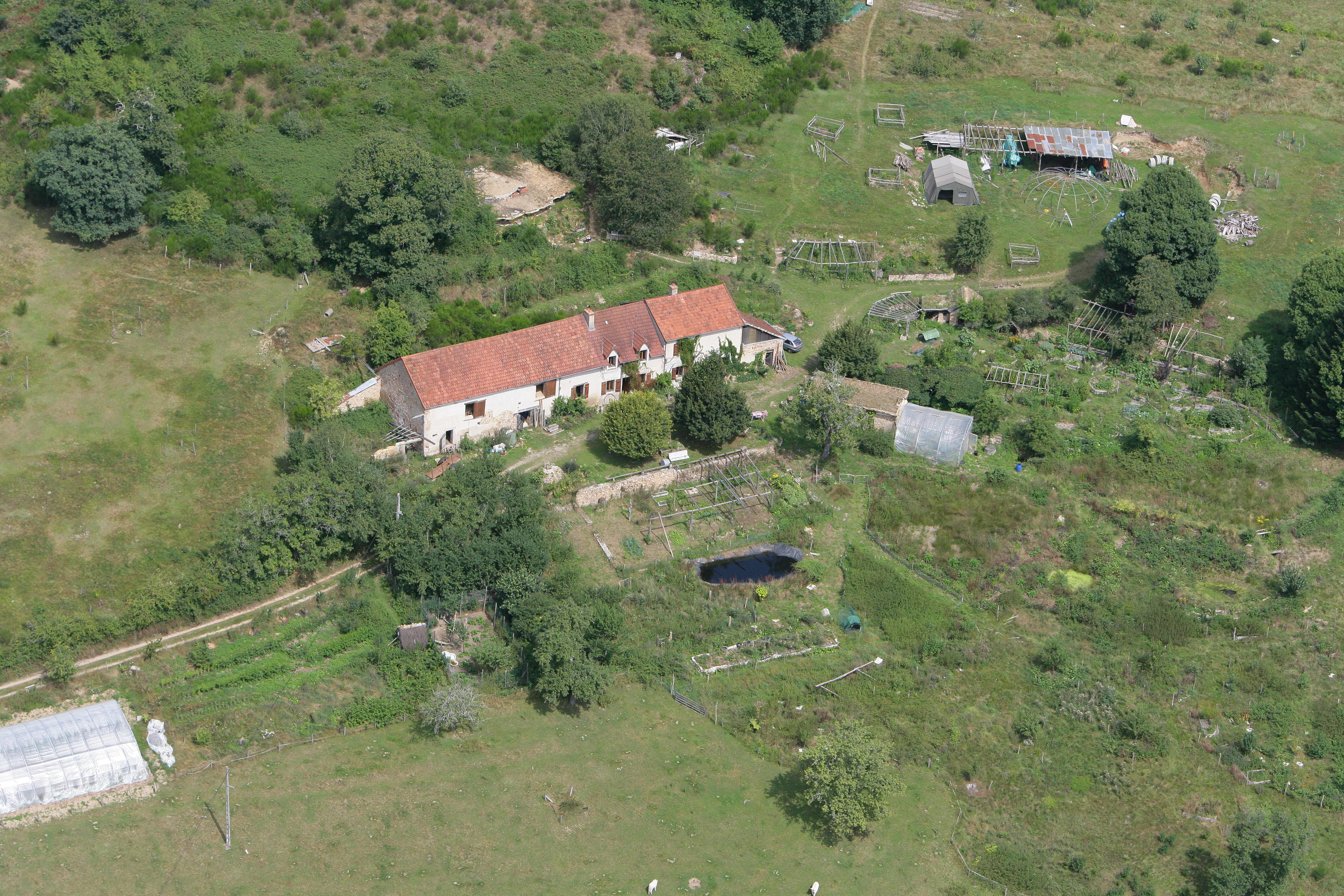 D542708902.JPG