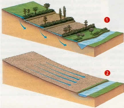 deboisement_Map.jpg