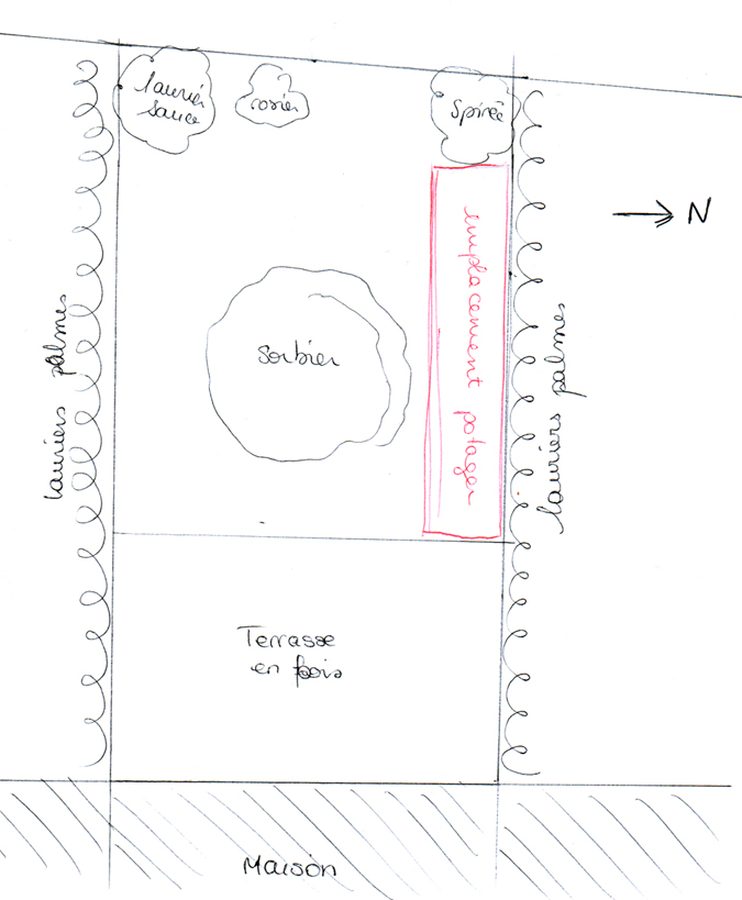 croquis.jpg