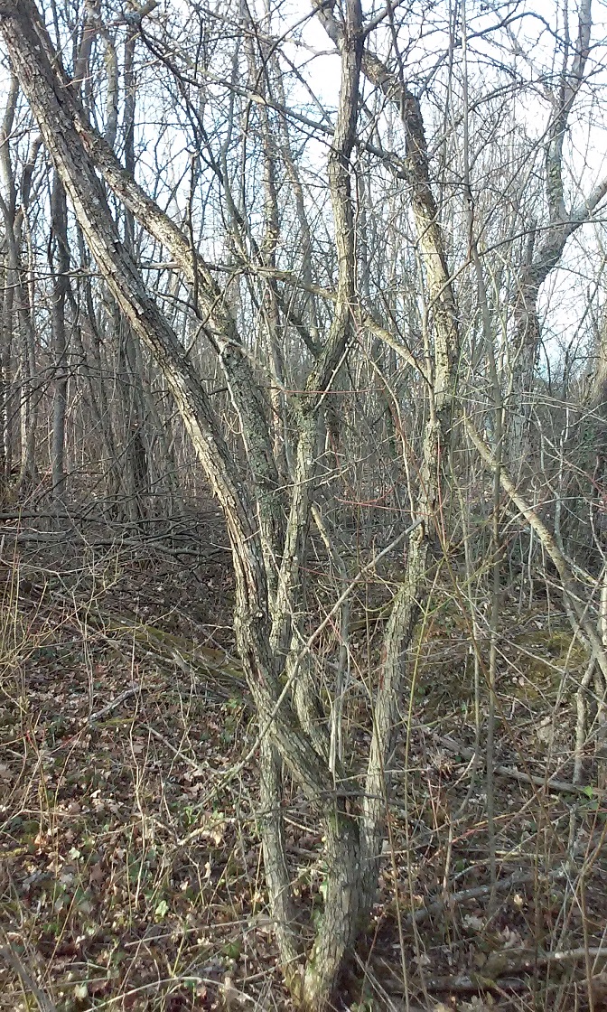 20160322_172817 - Copie.jpg