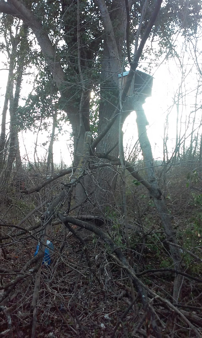 20160322_173213 - Copie.jpg