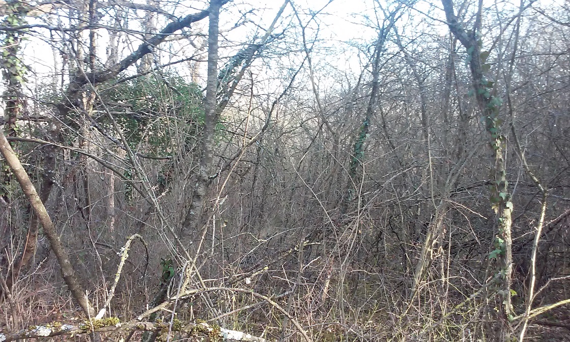 20160322_173013 - Copie.jpg