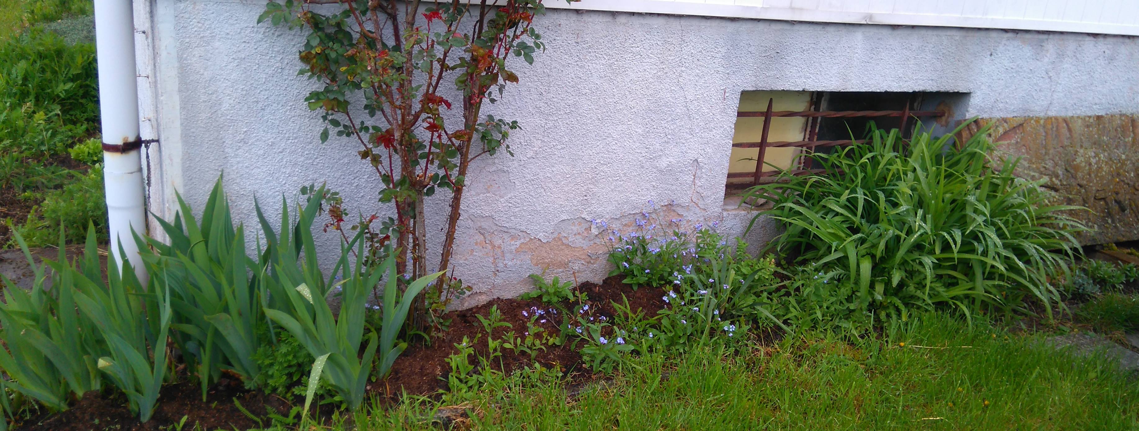 avant gauche de la maison25.04.2016.JPG