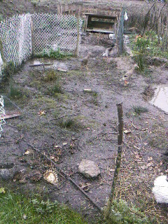 SP_A0137.jpg