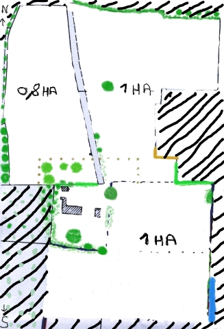 1r.JPG