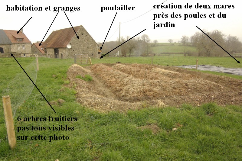 habitaion.jpg