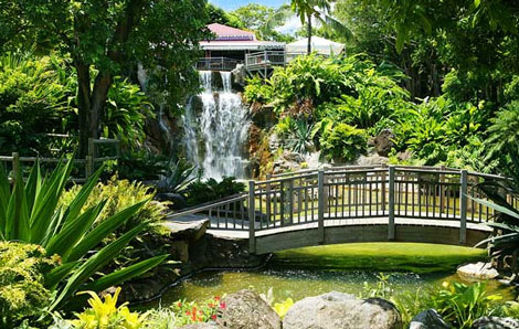 jardin_botanique_guadeloupe.jpg