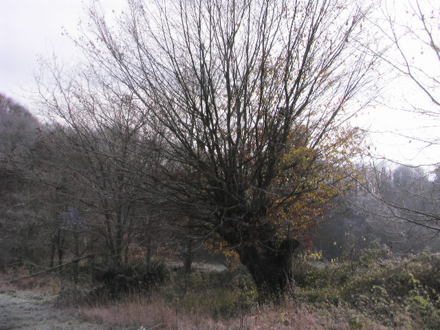 PIC_0109.JPG