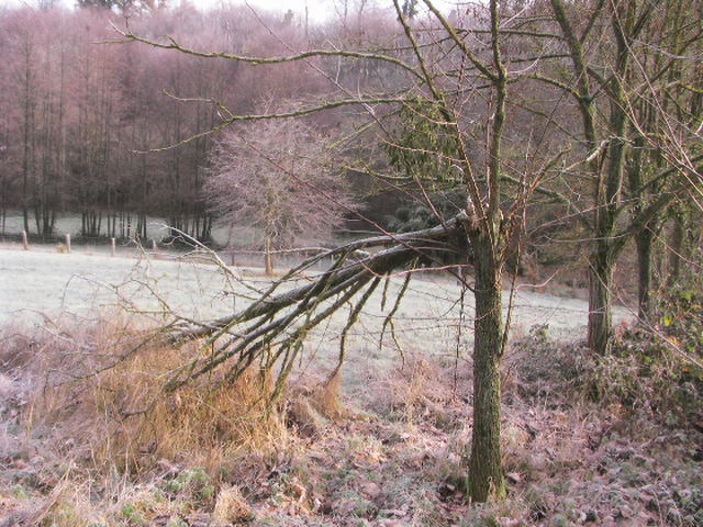 PIC_0111.JPG
