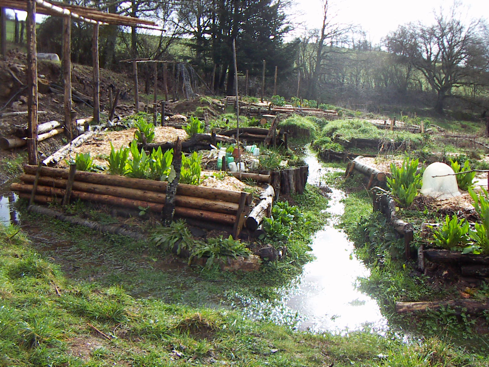 divers 2006 2007 027.JPG