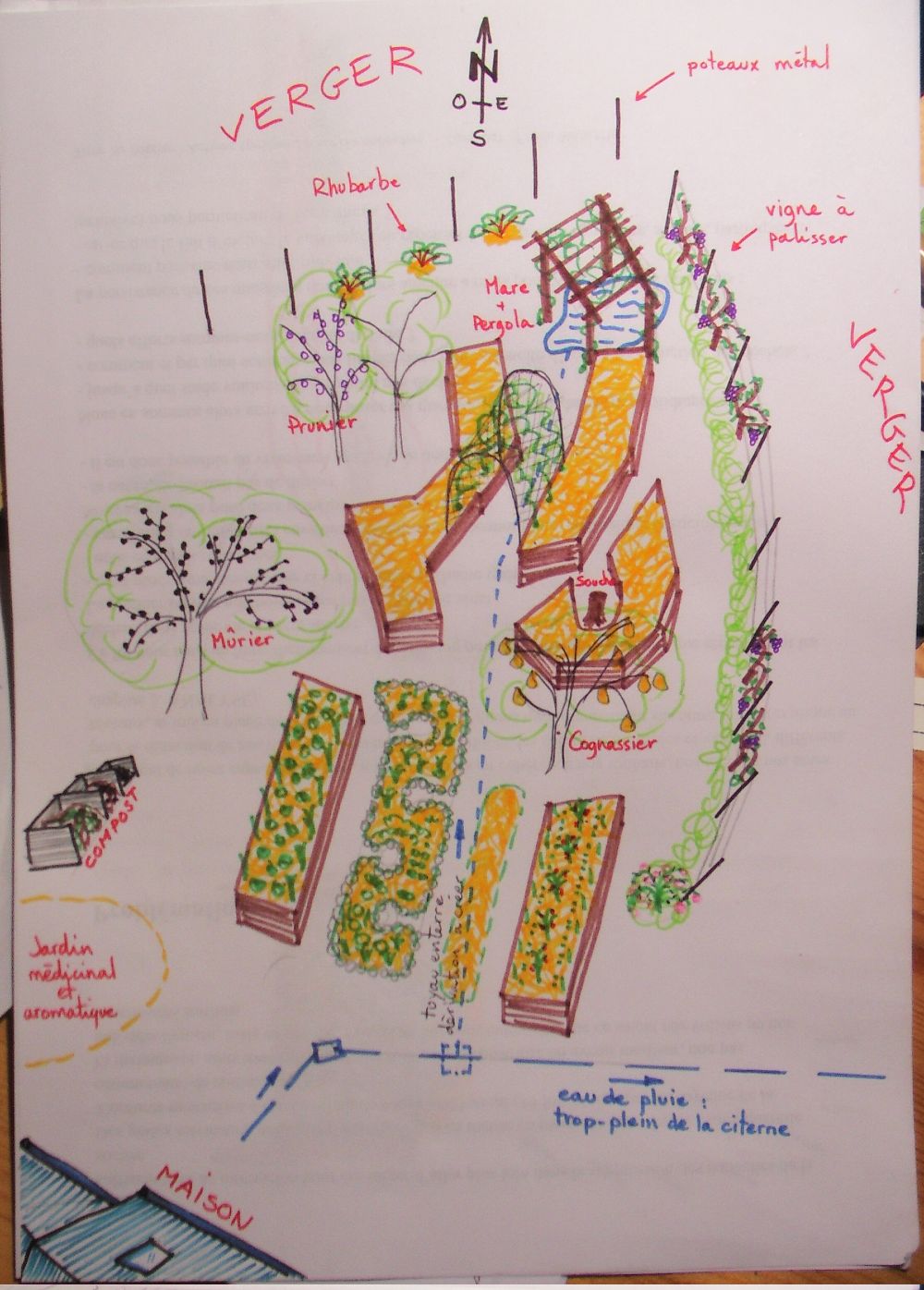 Plan iso petit potager.JPG