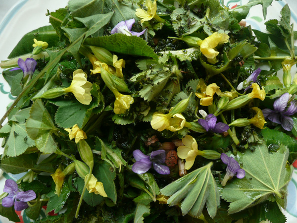 salade_printaniere-110411.jpg