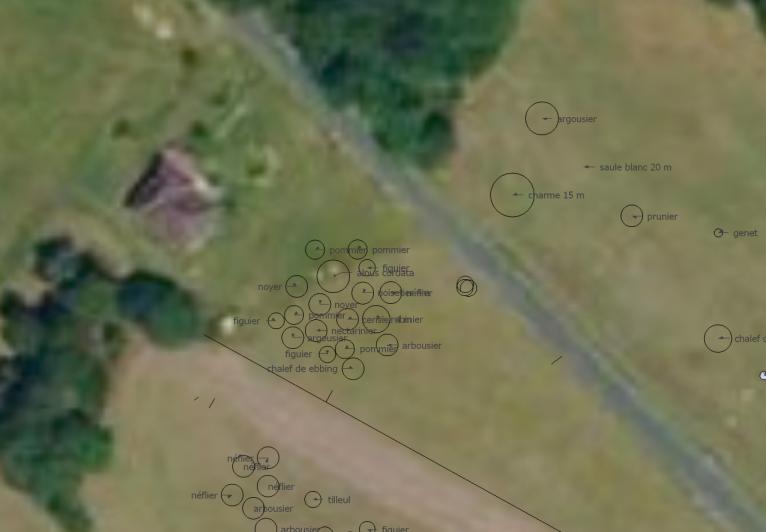 jardin arbres réduit.jpg