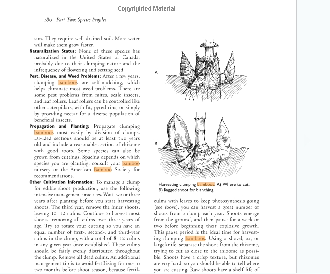 ScreenShot131.jpg