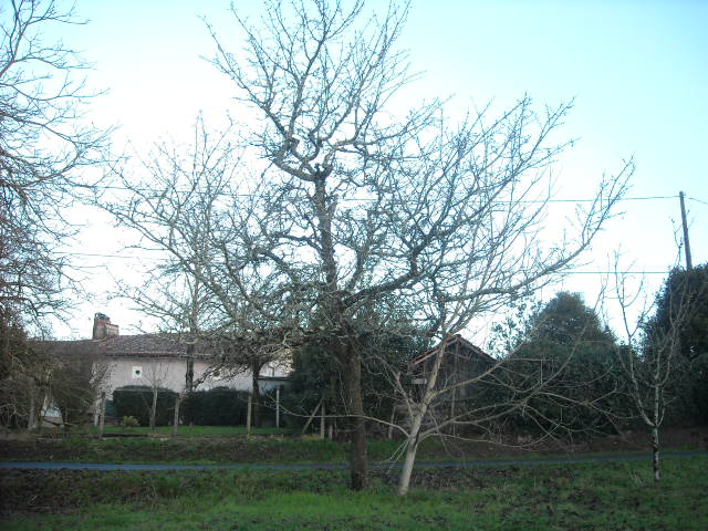 DSCN2014.JPG