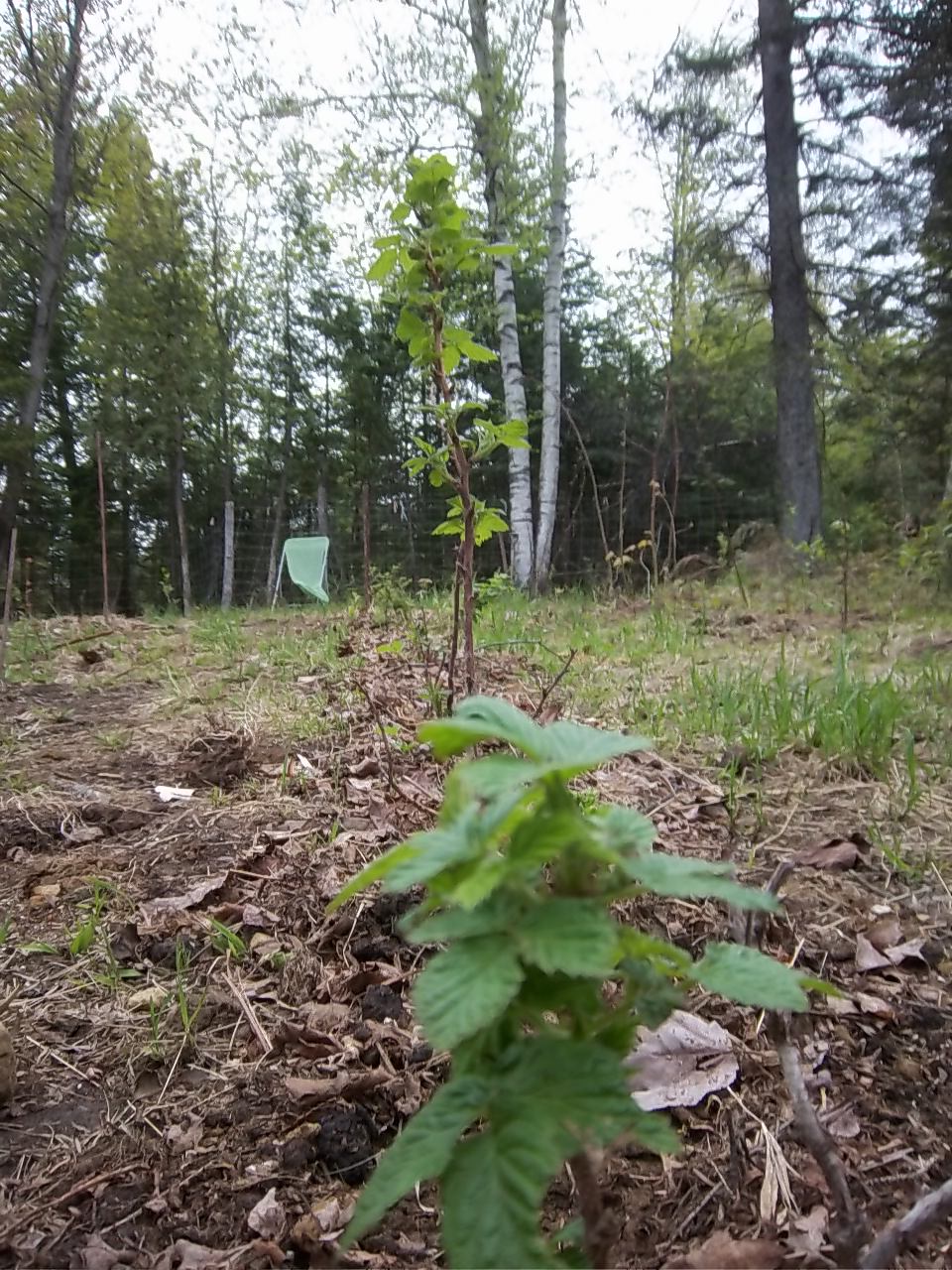 PHOTOS 2012 314.jpg