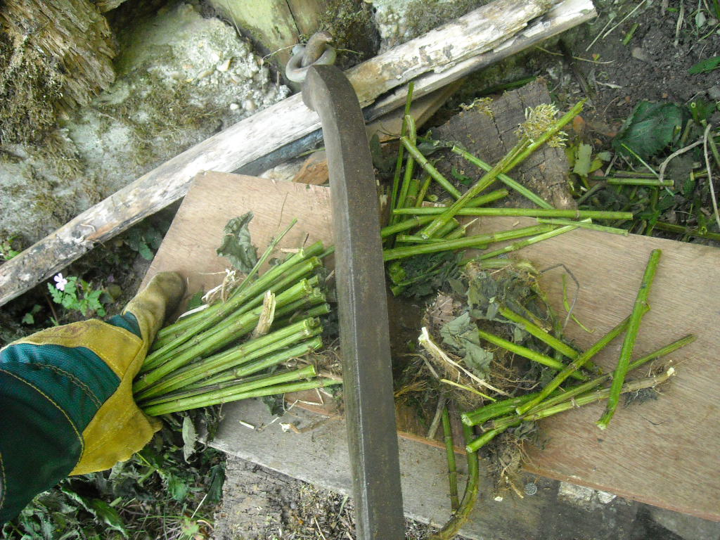 DSCN2652.JPG