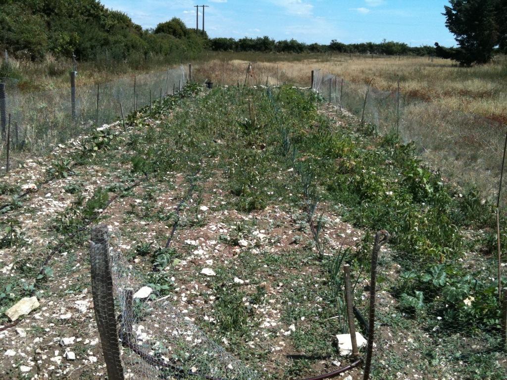 ancienpotager.jpg