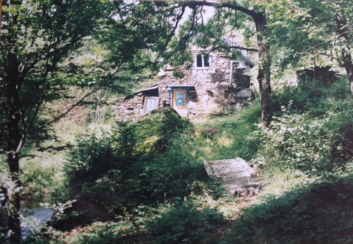 image_2a.jpg