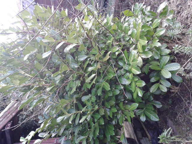 20130205_123738.jpg