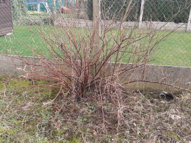 20130207_161032.jpg