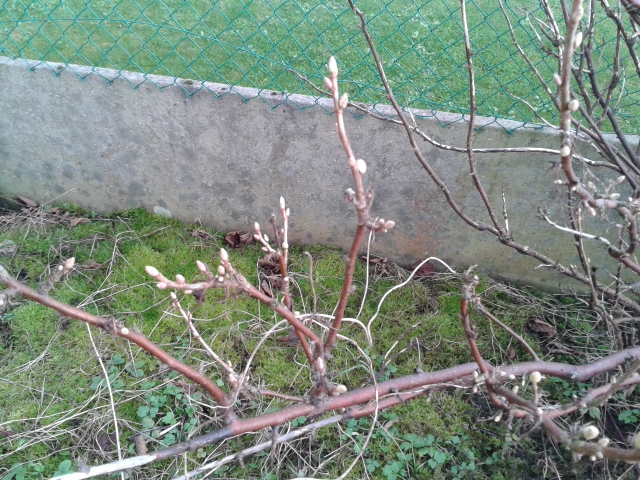 20130207_161048.jpg