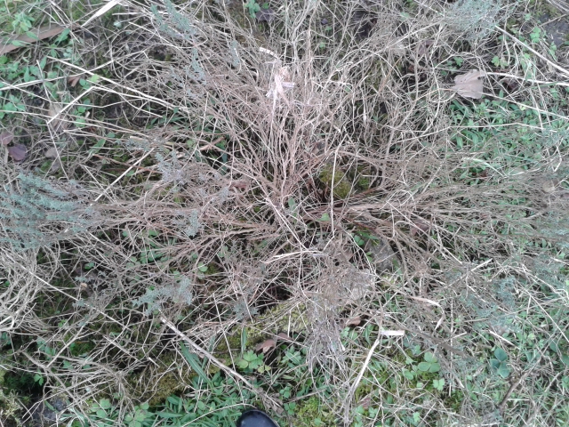 20130207_160904.jpg