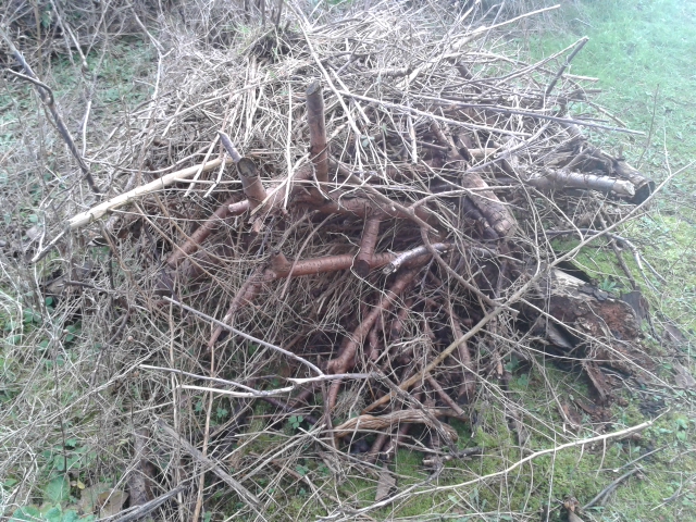 20130207_160807.jpg