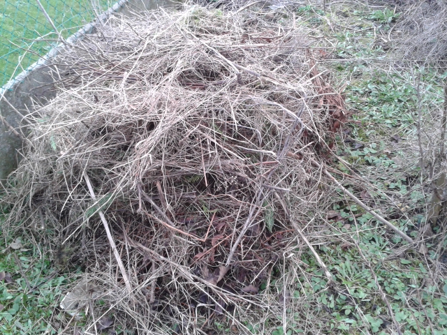 20130207_160818.jpg