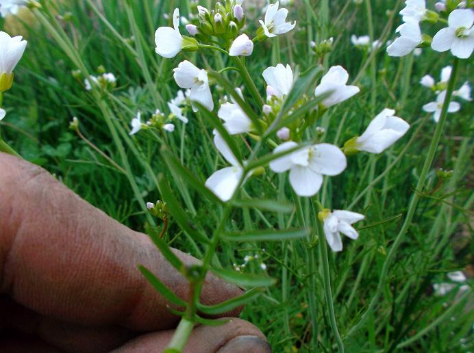 DSCF5178.JPG