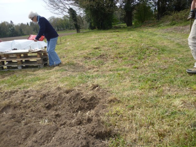 Notre-parcelle-30m2-jardin des couleurs asso.JPG