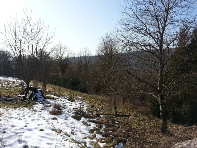 20130304_145147.jpg
