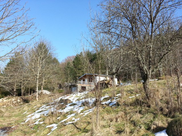 20130304_150506.jpg