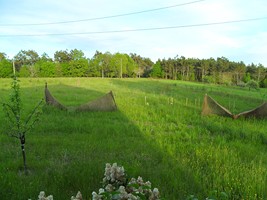 SAM_0997 (Copier).JPG