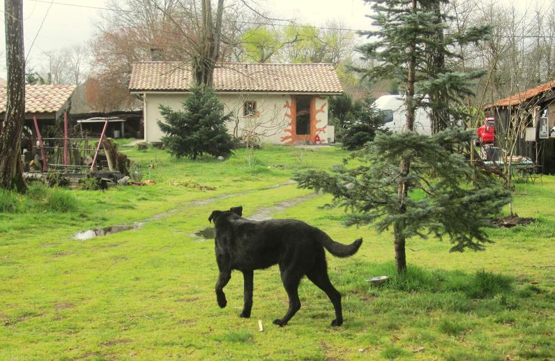 Devant la maison xxxXX.jpg